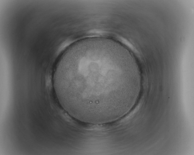 X0000114681259200910211203