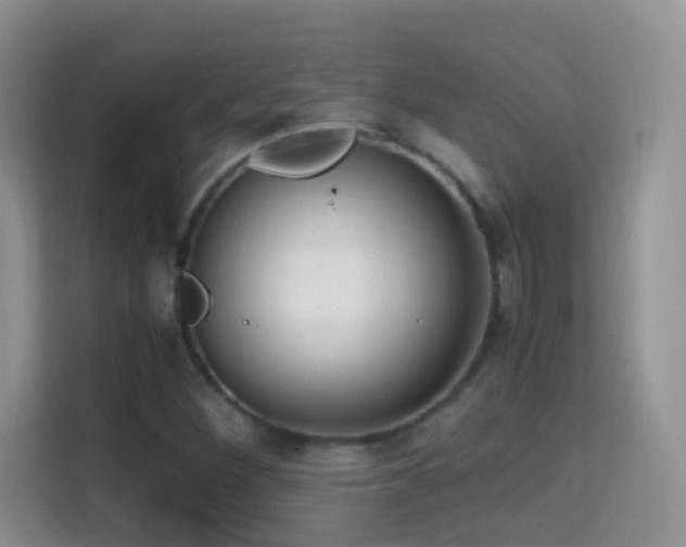 X0000114681260200910211203