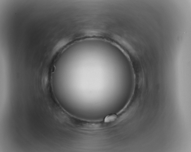 X0000114681261200910211203