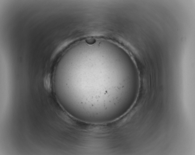 X0000114681262200910211203