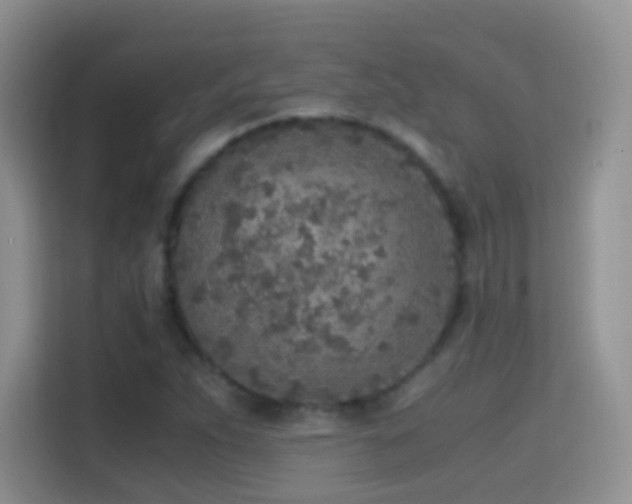 X0000114681263200910211203