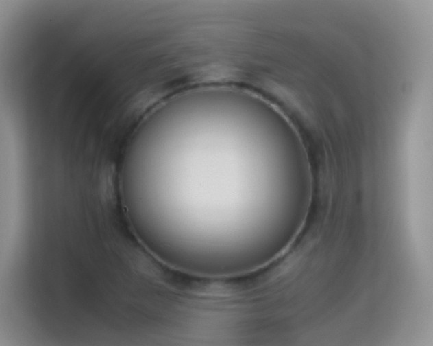 X0000114681265200910211203