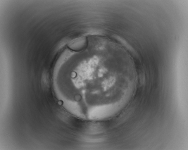 X0000114681266200910211203