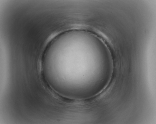 X0000114681267200910211203