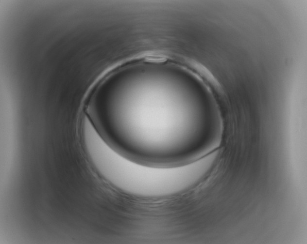 X0000114681268200910211203