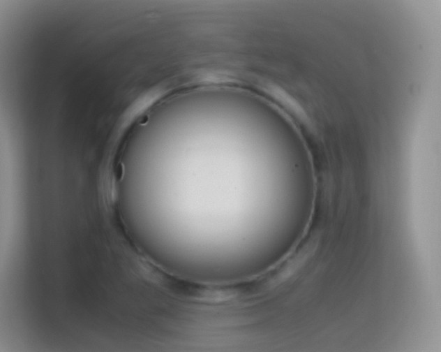 X0000114681269200910211203