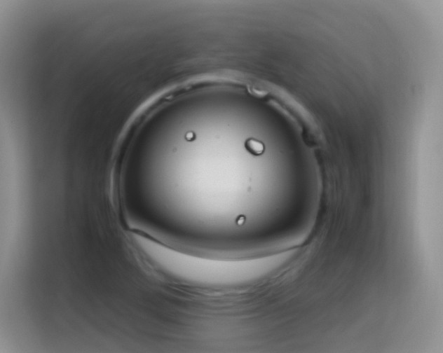 X0000114681272200910211203