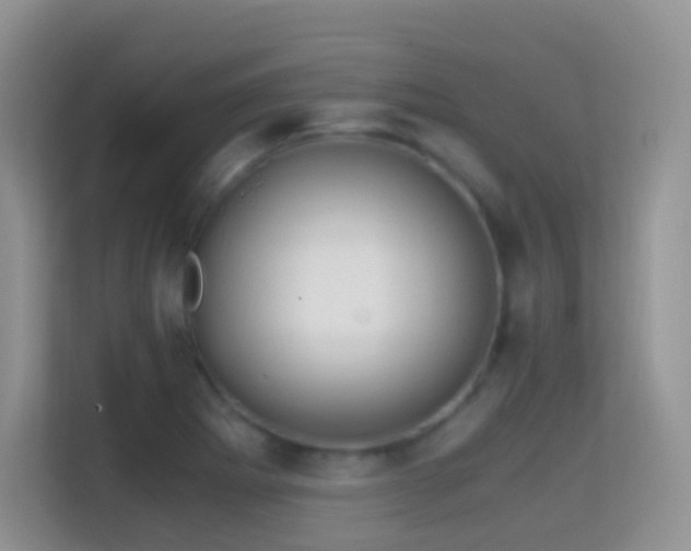 X0000114681273200910211203