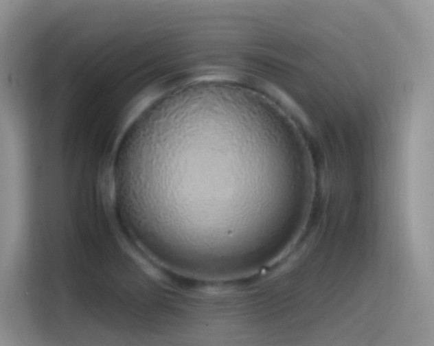 X0000114681274200910211203