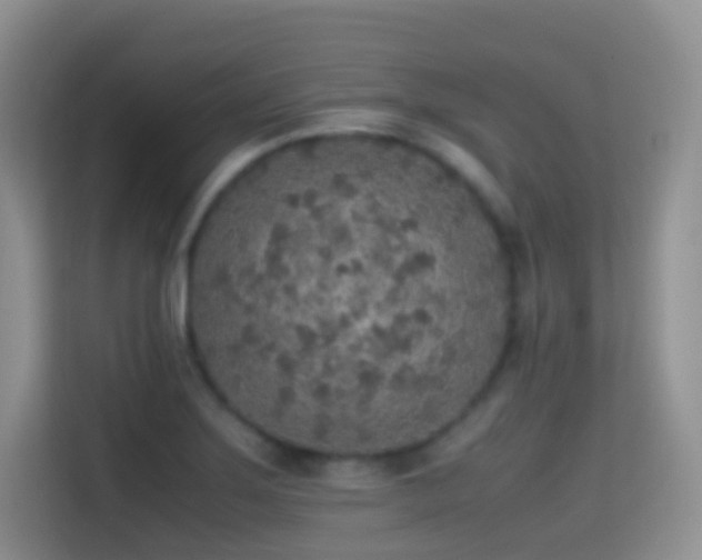 X0000114681275200910211203