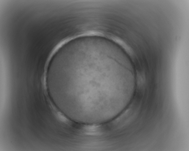 X0000114681278200910211203