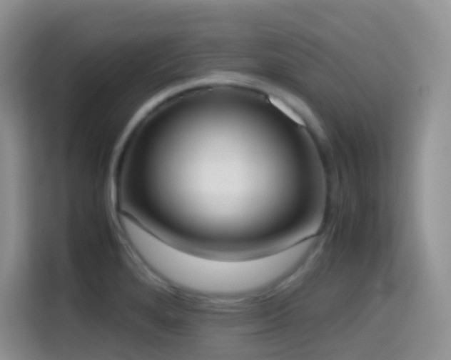 X0000114681280200910211203
