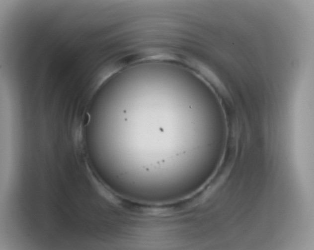 X0000114681281200910211203