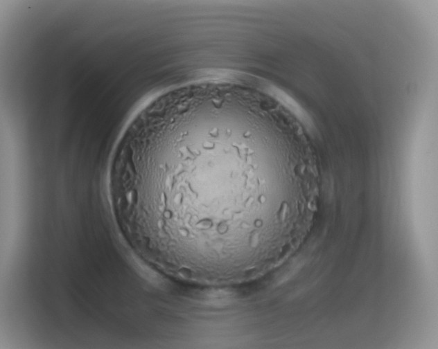 X0000114681283200910211203