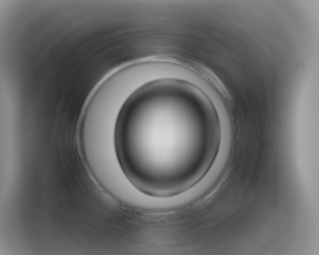 X0000114681284200910211203