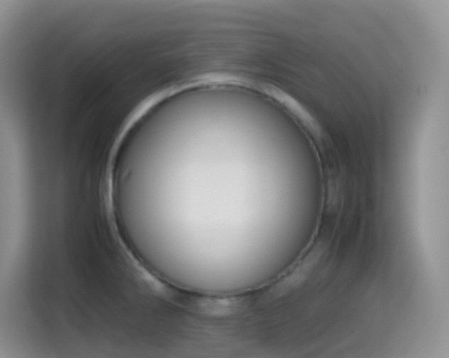 X0000114681286200910211203