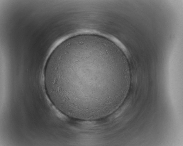 X0000114681287200910211203