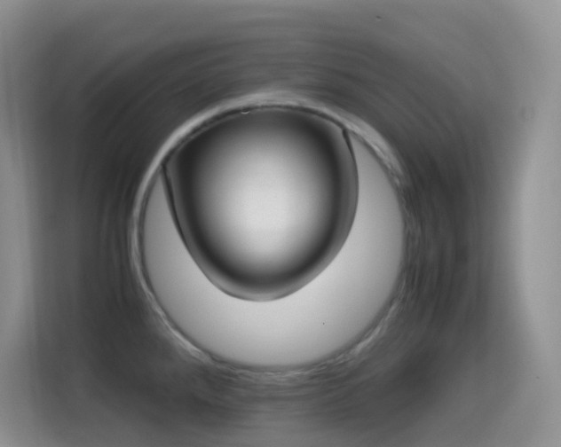 X0000114681288200910211203