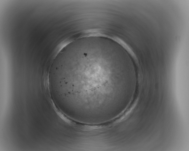 X0000114681289200910211203