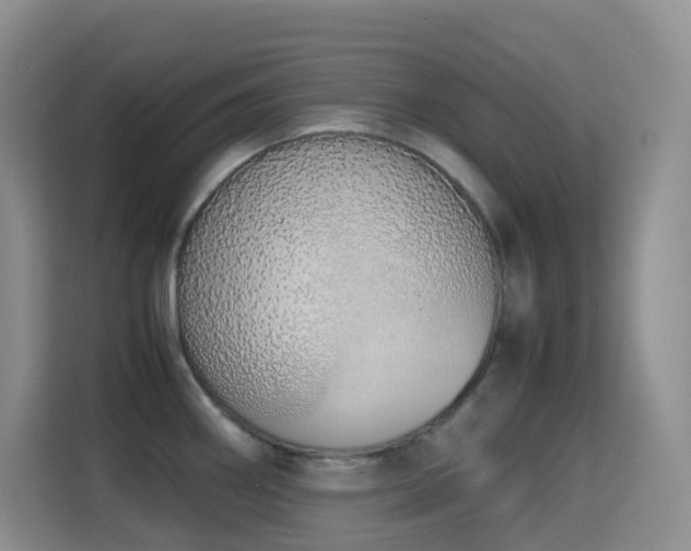 X0000114681290200910211203