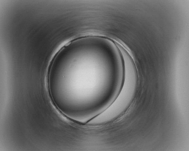 X0000114681293200910211203