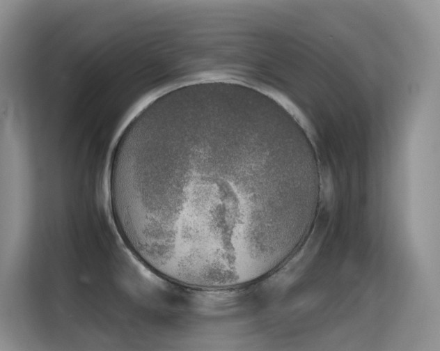 X0000114681294200910211203