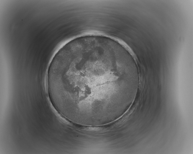 X0000114681295200910211203