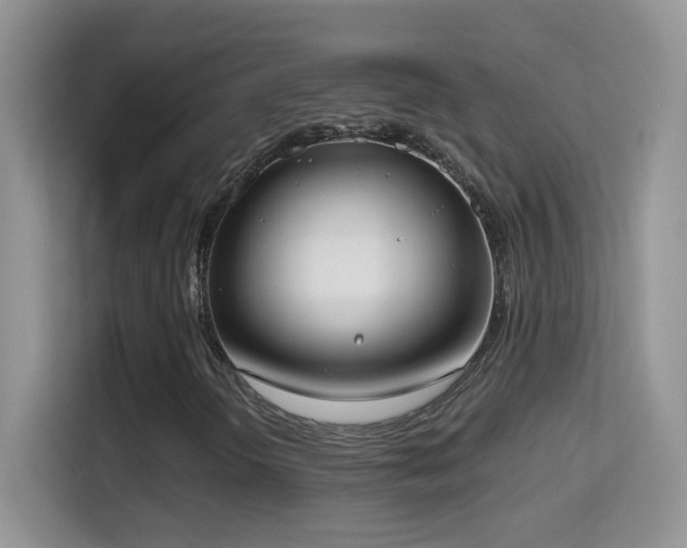 X0000114681298200910211202
