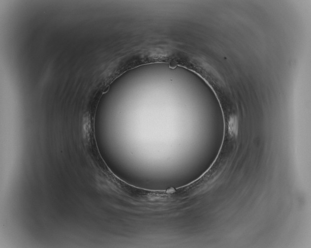 X0000114681299200910211202