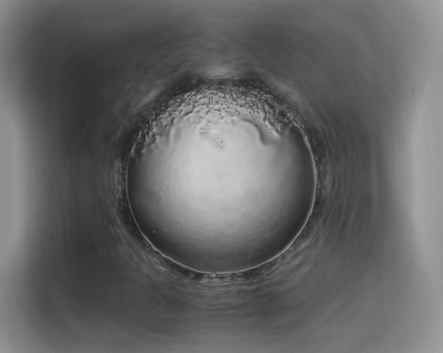 X0000114681301200910211202