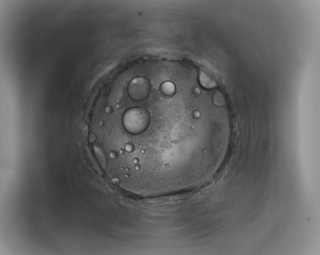 X0000114681302200910211202