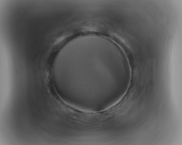 X0000114681303200910211202