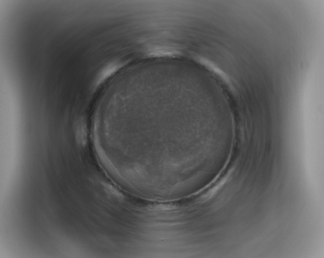 X0000114681306200910211202