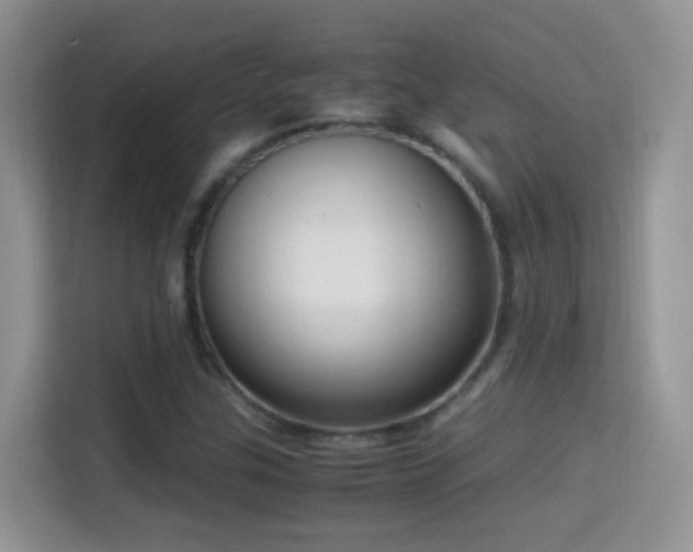 X0000114681307200910211202