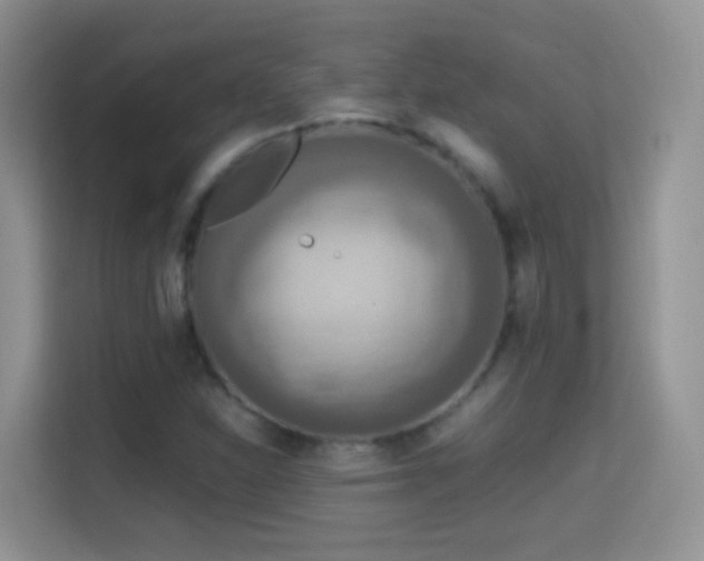 X0000114681310200910211202