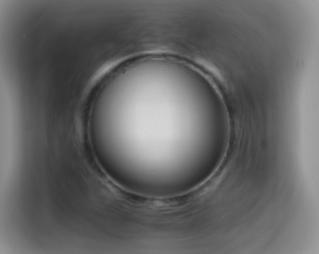 X0000114681311200910211202