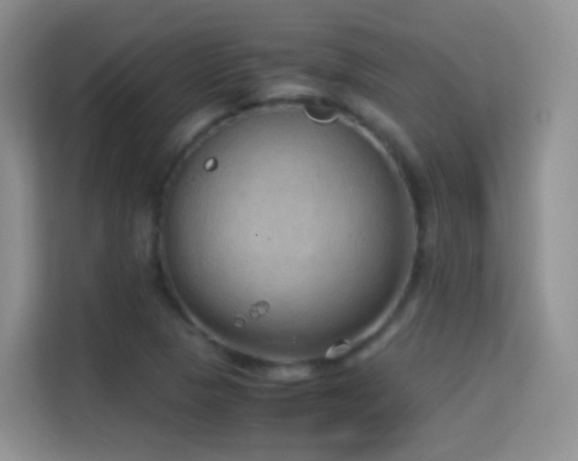 X0000114681313200910211202
