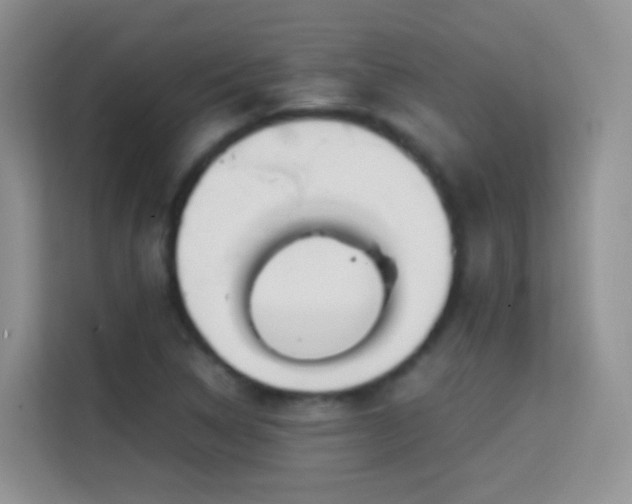 X0000114681314200910211202