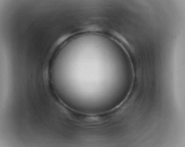 X0000114681315200910211202