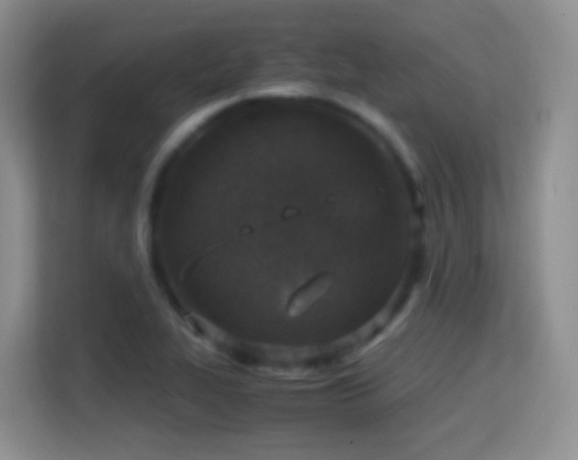 X0000114681319200910211202