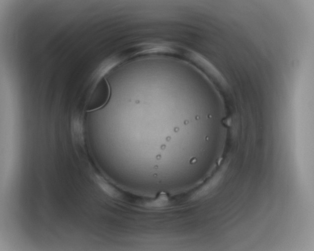 X0000114681321200910211202