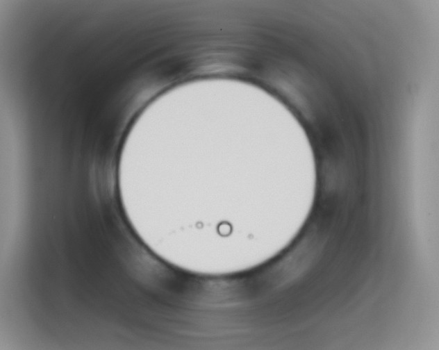 X0000114681322200910211202