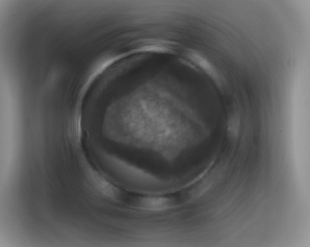 X0000114681323200910211202