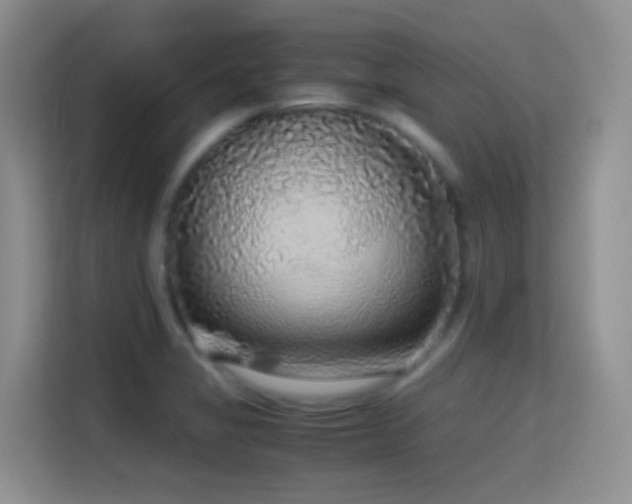 X0000114681325200910211202