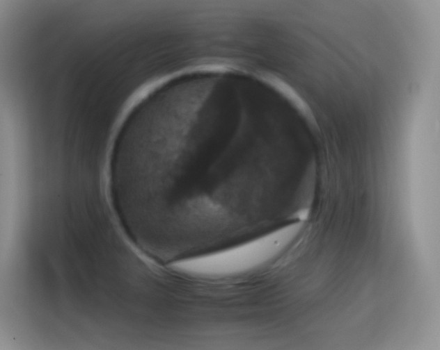 X0000114681327200910211202