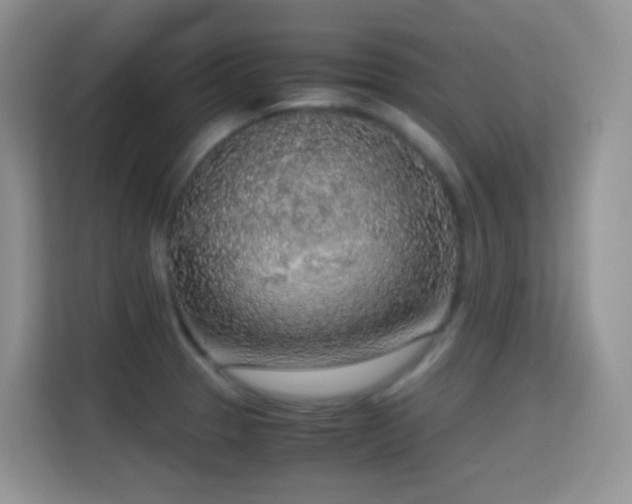 X0000114681329200910211202