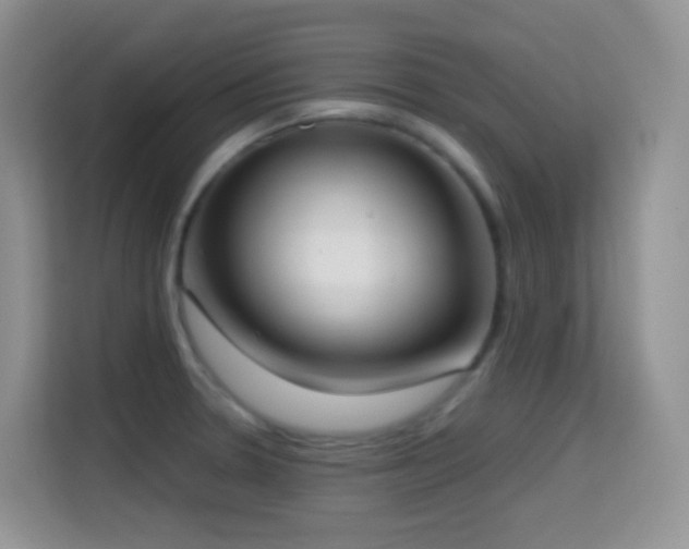 X0000114681330200910211202