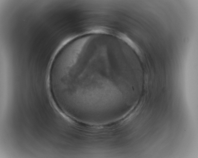 X0000114681331200910211202