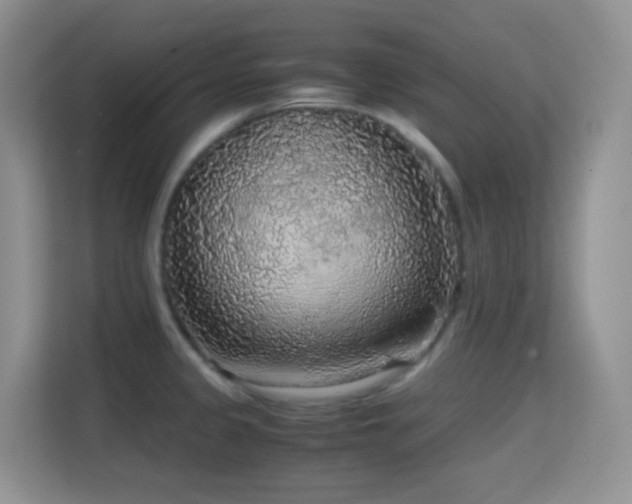 X0000114681333200910211202