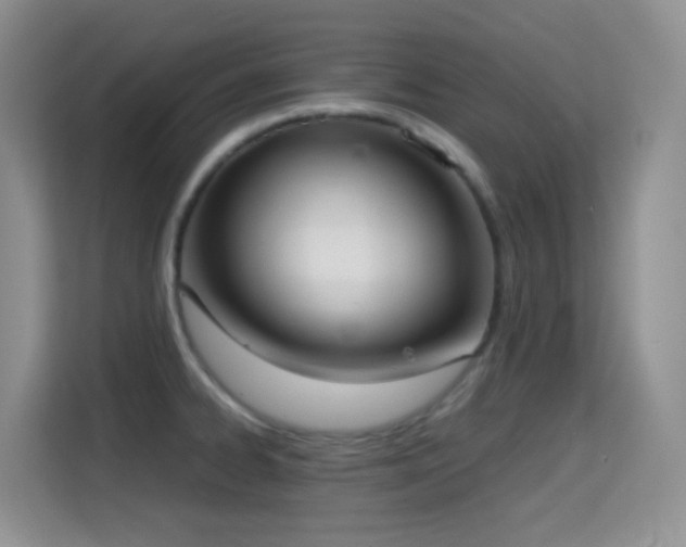 X0000114681334200910211202